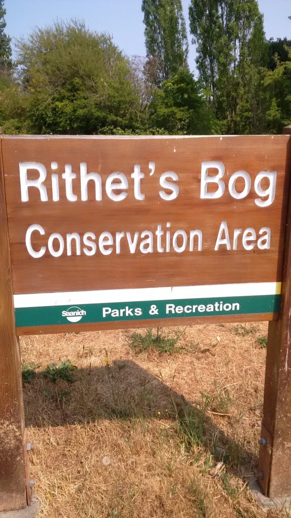 Rithets Bog